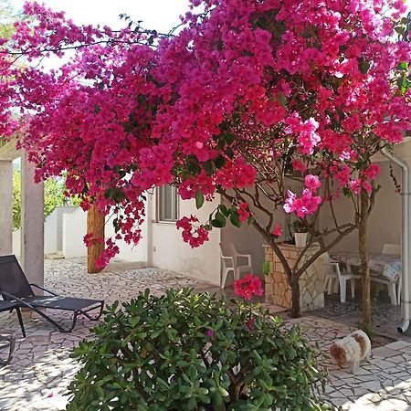 Villa Beatrice Serranova المظهر الخارجي الصورة