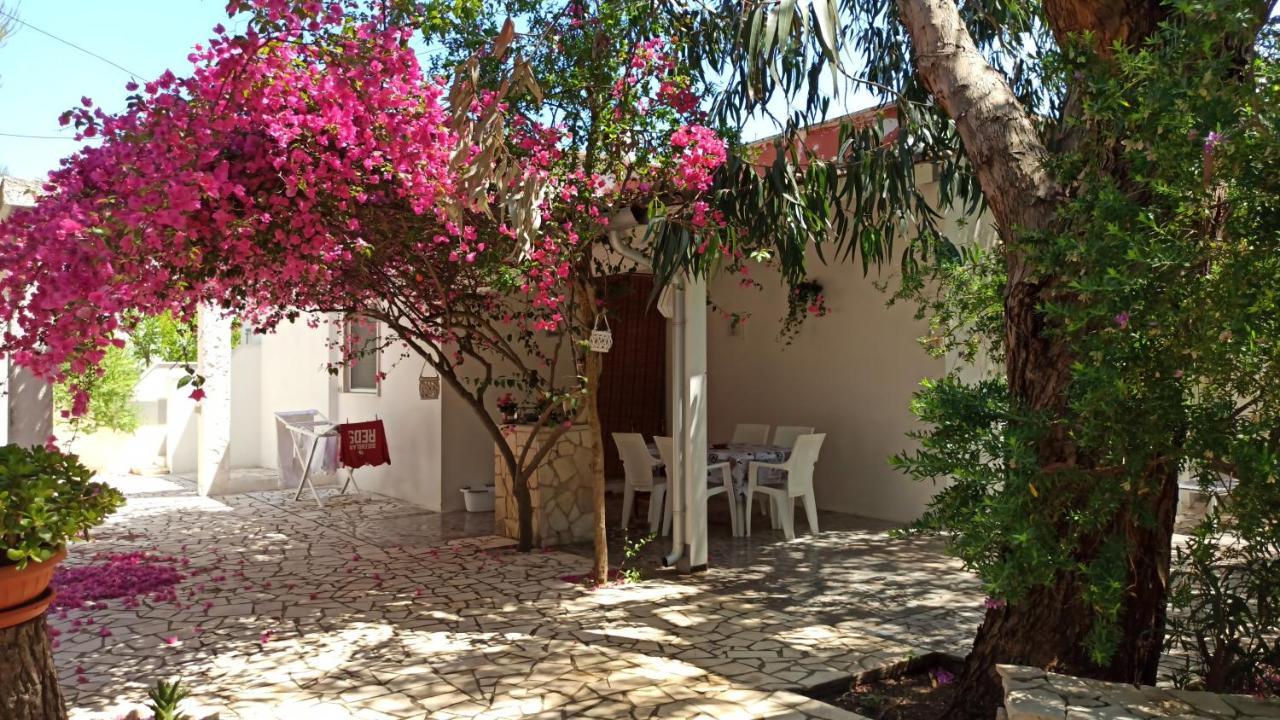 Villa Beatrice Serranova المظهر الخارجي الصورة