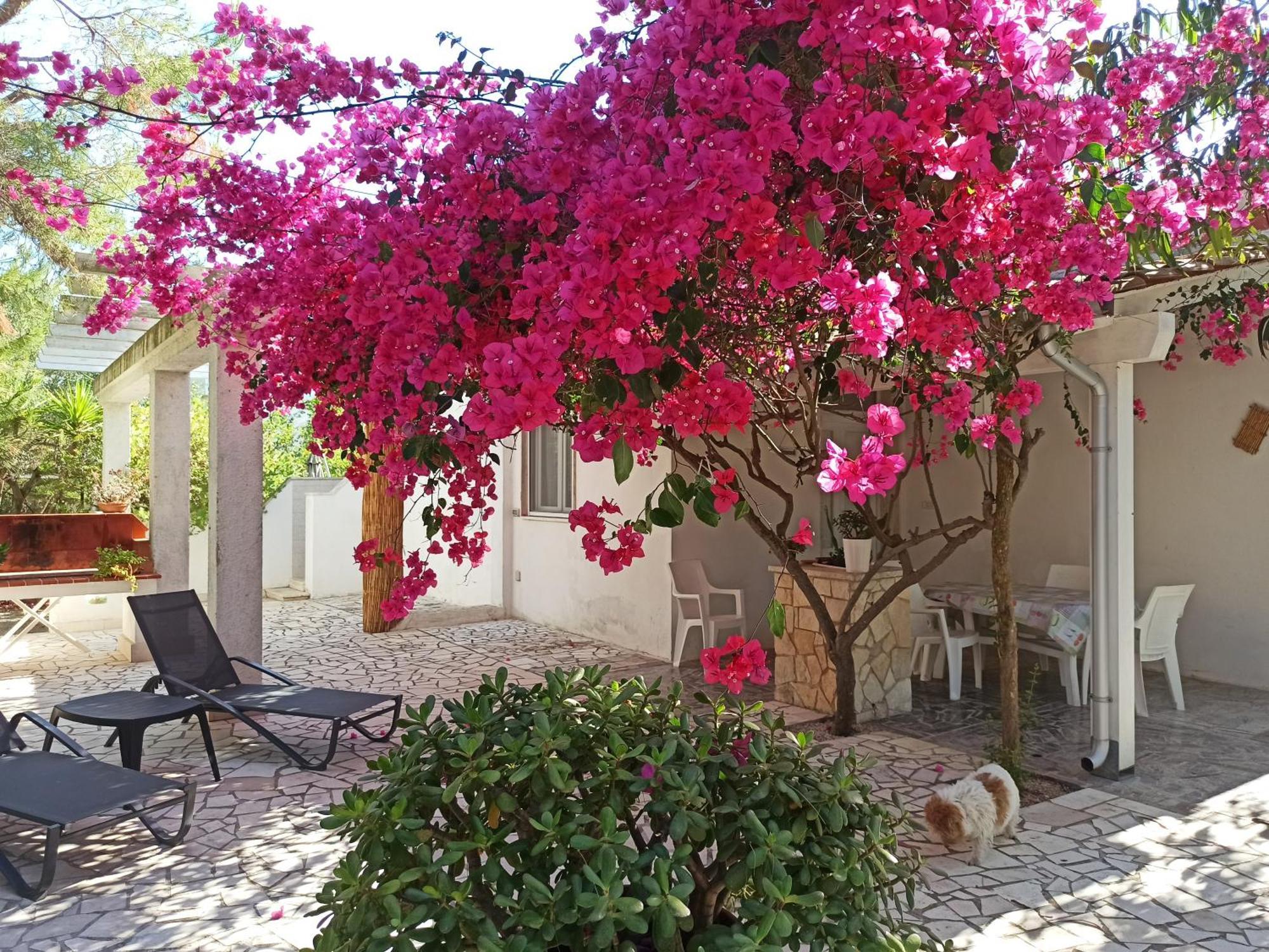 Villa Beatrice Serranova المظهر الخارجي الصورة